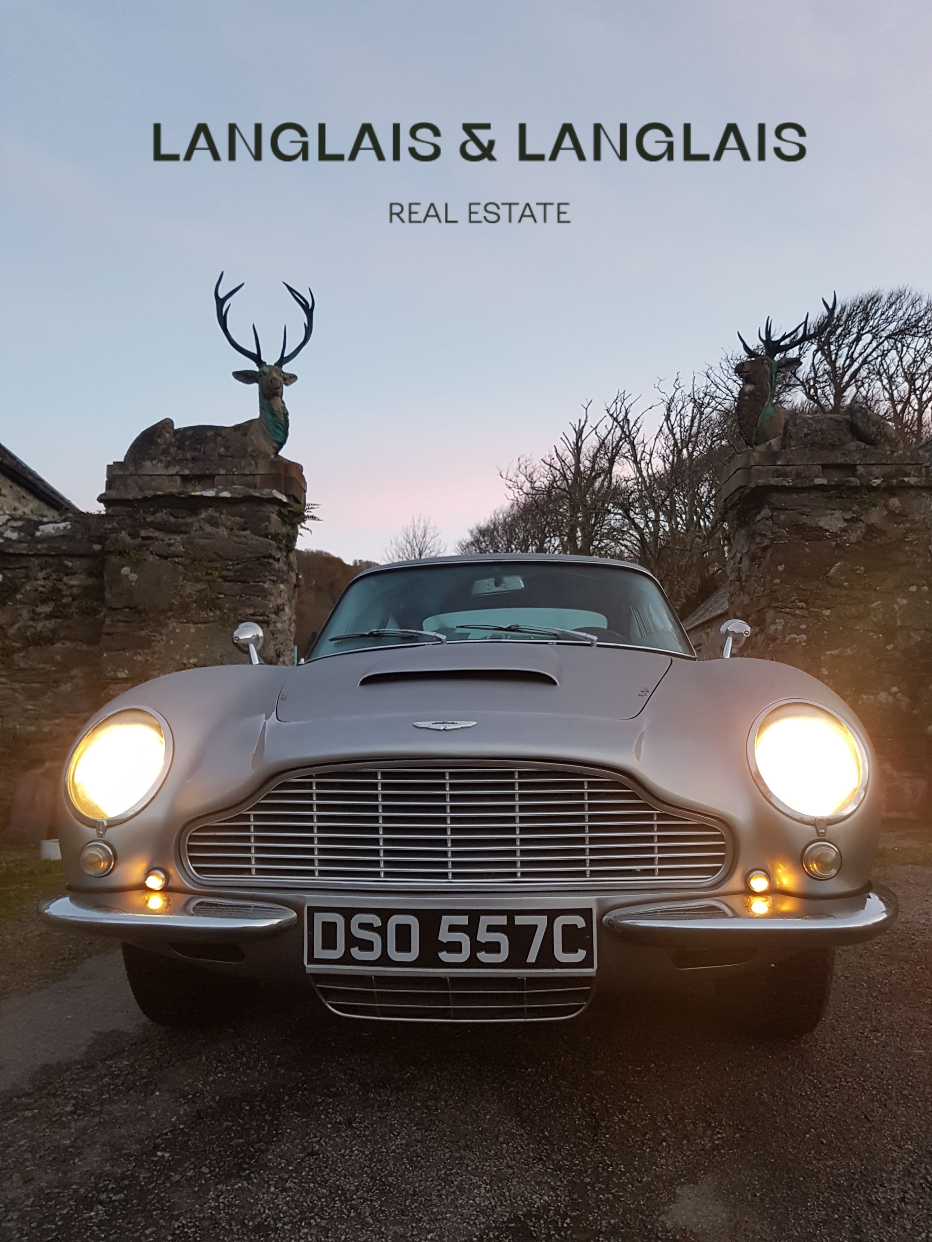 L’Art des Investissements Intemporels